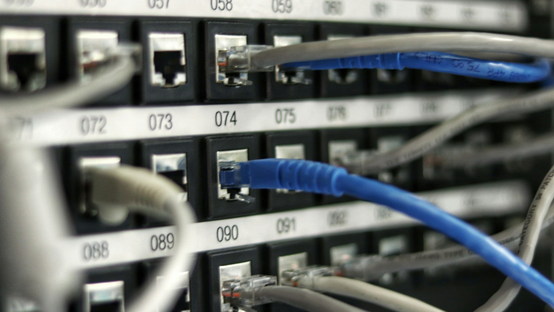 Network patch panel with Cat6 cables for Dante audio networking